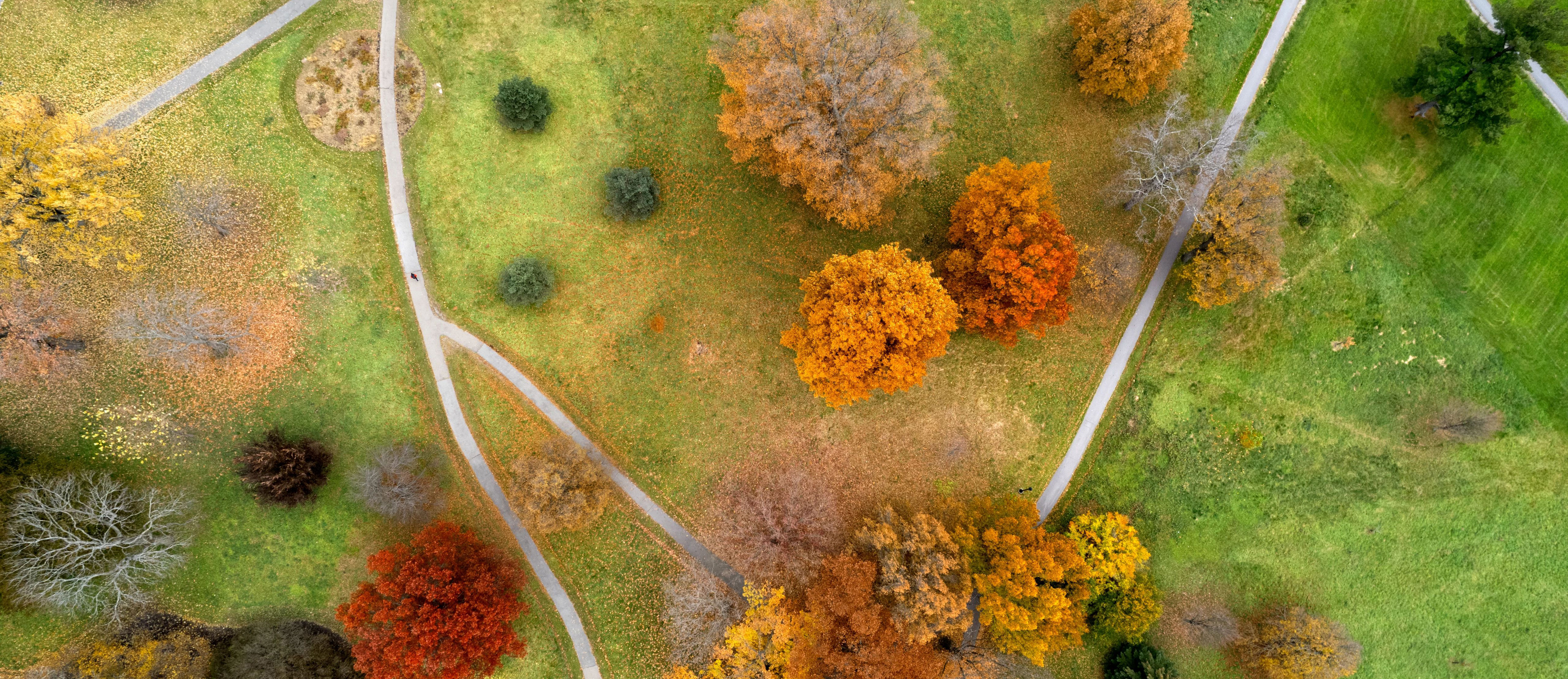 Aerial view of fall foliage and paths