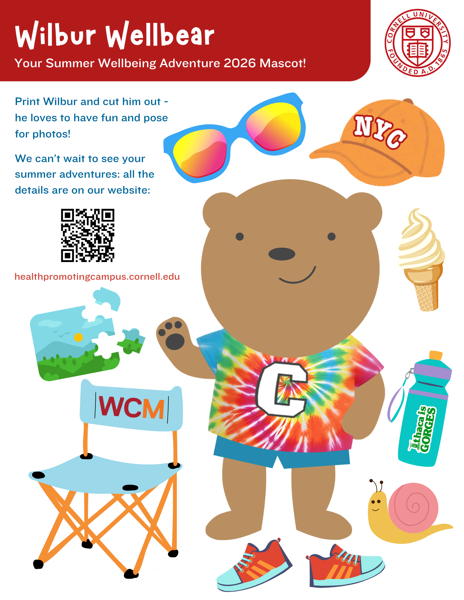 willbur the bear ready for adventure in his tiedye t shirt and accessories