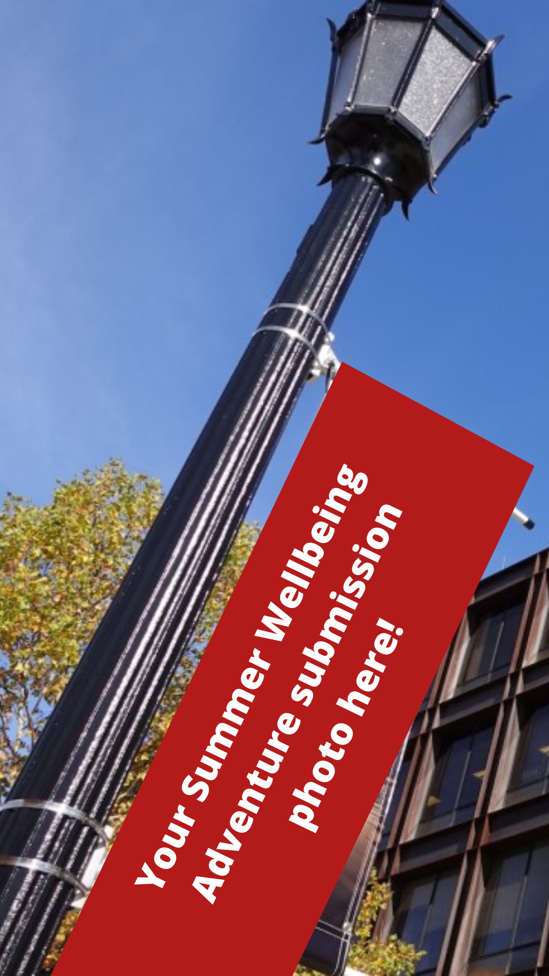Lightpost Banner with caption "Your Summer Wellbeing Adventure submission photo here"